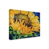 Trademark Fine Art Marcia Baldwin 'Sunflower September' Canvas Art, 24x32 ALI34647-C2432GG